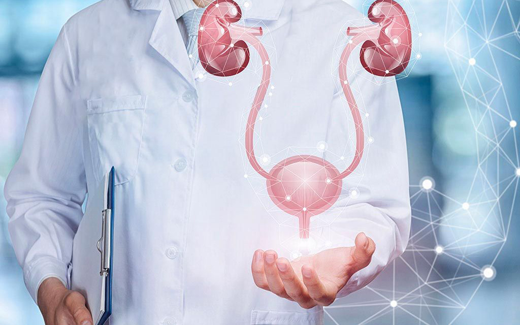 Urologia