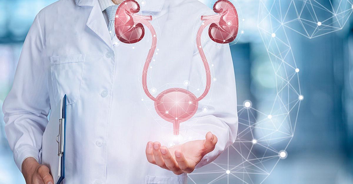 Urologia